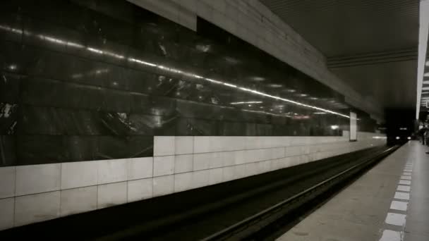 Timelapse görünümünü metro tren istasyonu üzerinde — Stok video