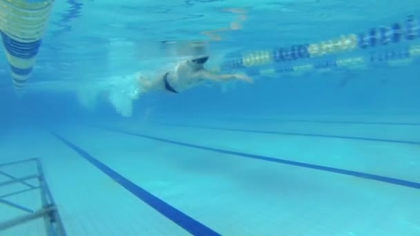 Beautiful underwater view of swimming free style — Stock Video