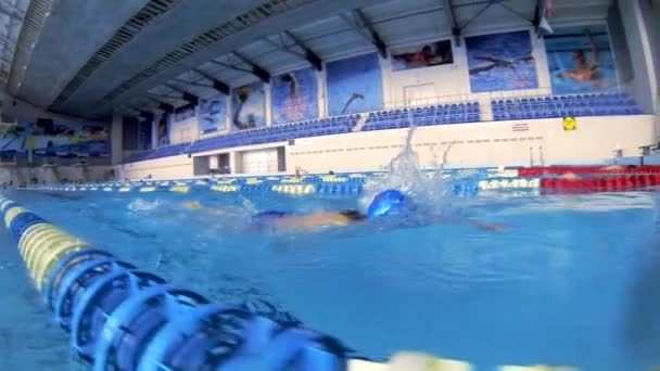 Beautiful underwater view of swimming free style — Stock Video