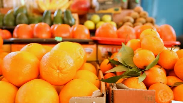 Dynamische uitzicht op gezond fruit eten — Stockvideo