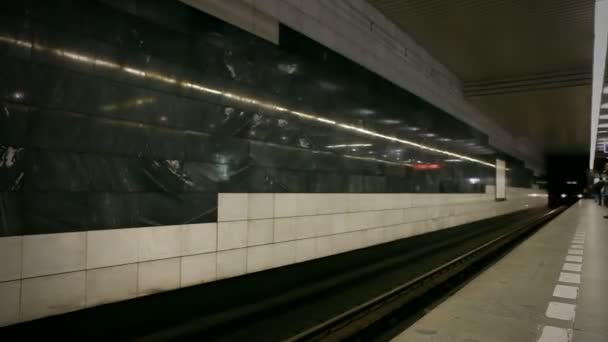 Veduta temporale del treno della metropolitana sulla stazione — Video Stock