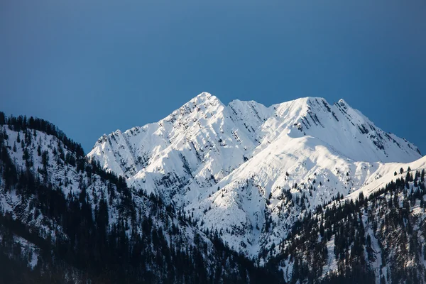 Bergblick lizenzfreie Stockfotos