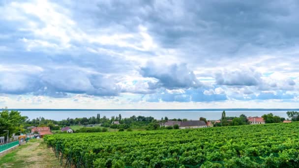 BADACSONY, HONGARIJE - SEPTEMBER 18, 2021: Uitzicht op de wolken over het Balatonmeer en de wijngaard op een zonnige dag in Badacsony, Hongarije. — Stockvideo