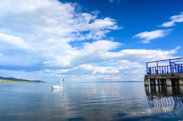 Blick Auf Den Plattensee Und Die Schwäne Und Enten Die — Stockfoto