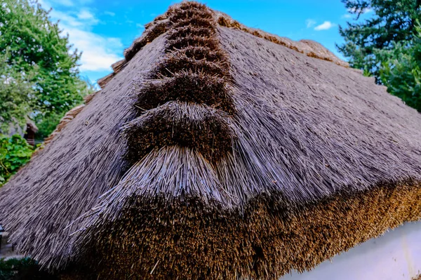 Крупним планом вид на солом'яний дах — стокове фото