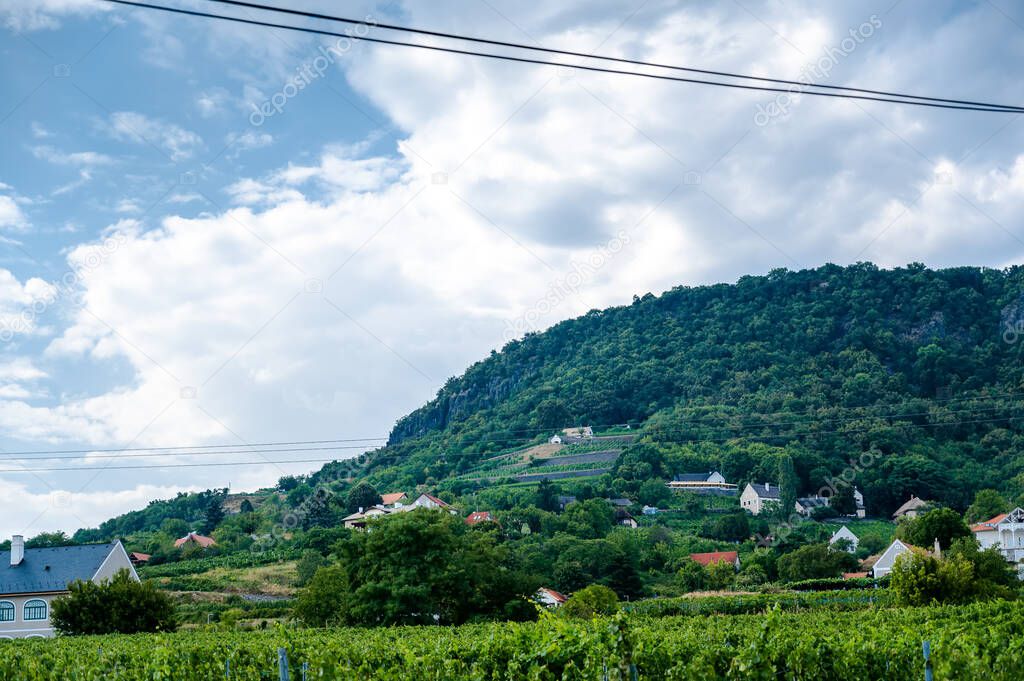 Landscape view on the Badacsony wine growing region