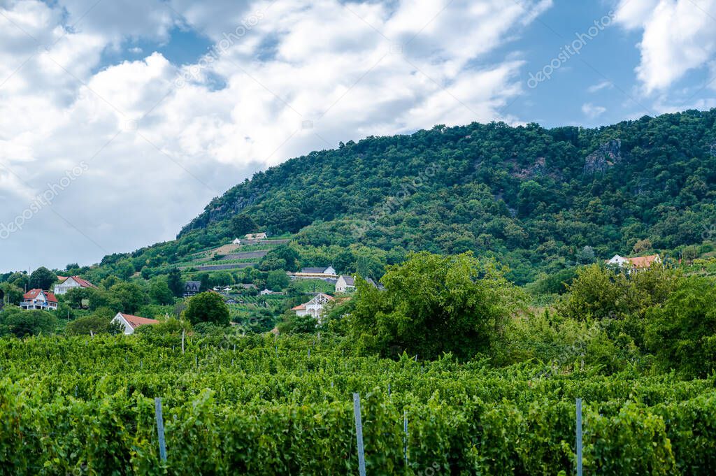 Landscape view on the Badacsony wine growing region in Badacsonytomaj