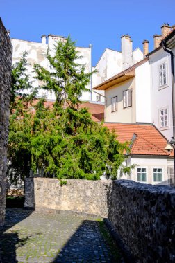 Güneşli bir günde Macaristan 'ın Sopron kentinin tarihi mimarisine, sokaklarına ve meydanlarına bakın..