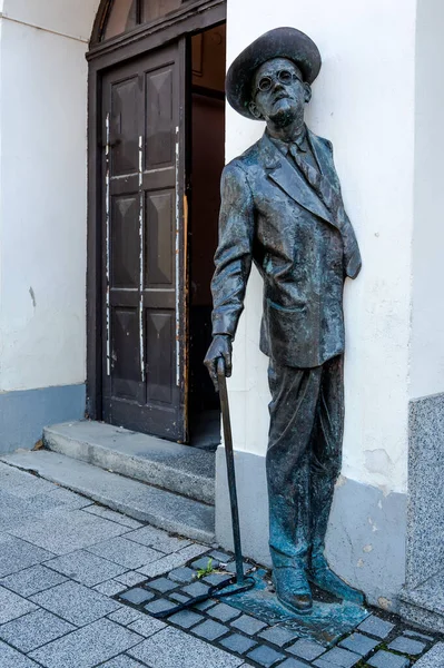 Άγαλμα Του James Joyce Στο Szombathely Ουγγαρία Φωτογραφία Αρχείου