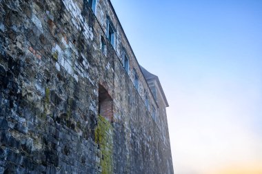 Kışın sisli bir günde Ljubljana Şatosu 'na yakından bakın..