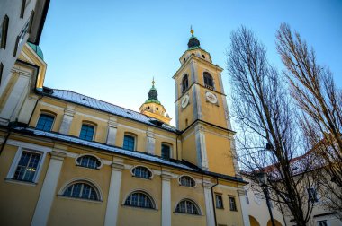 Slovenya 'nın Ljubljana katedrali güneşli bir günde
