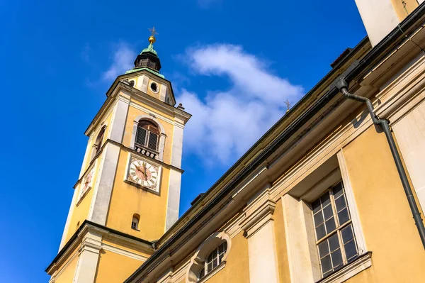 Slovenya 'nın Ljubljana katedrali güneşli bir günde