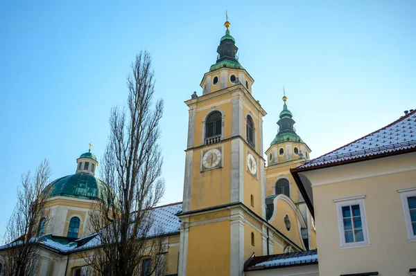Slovenya 'nın Ljubljana katedrali güneşli bir günde