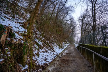Slovenya 'nın Ljubljana kentindeki ormanlarda yürüyüş yolu. Kaleye giden yol..