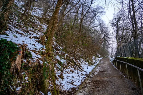 Slovenya 'nın Ljubljana kentindeki ormanlarda yürüyüş yolu. Kaleye giden yol..