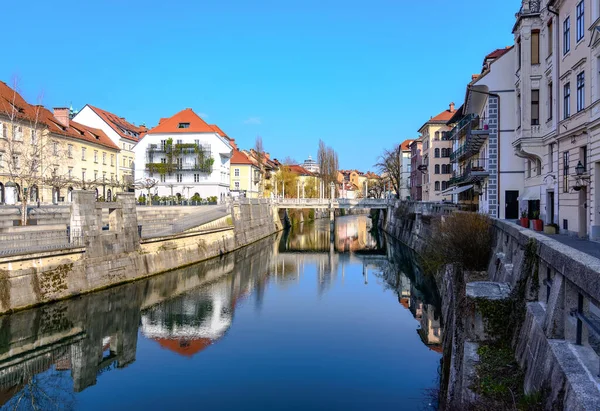 Slovenya 'da köprüleri ve tarihi mimarisi olan Ljubljanica eski kentinde Ljubljanica nehir kanalı manzarası