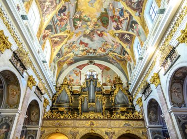 LJUBLJANA, SLOVENIA - 15 Şubat 2022: Ljubljana, Slovenya Saint Nicholas Katedrali