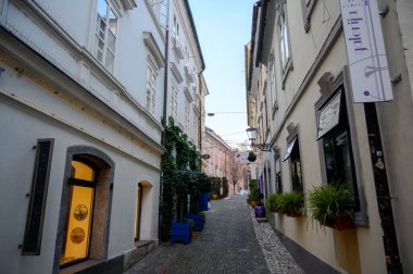 LJUBLJANA, SLOVENIA - 15 Şubat 2022: Ljubljana, Slovenya 'daki tarihi mimari. Şehrin eski binalarına bakın..