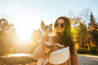 Parkta güneşli bir günde teriyerini tutan şık güneş gözlüklü çekici bir köpek sahibi kadının portresi..