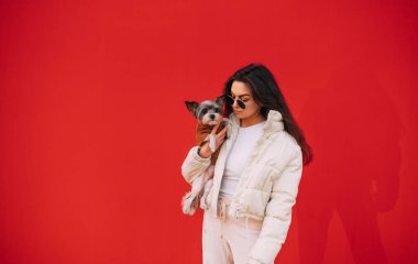 Beyaz ceket ve pantolon giyen şık bir kadın, şirin York teriyerini tutuyor, izole edilmiş kırmızı arka planın önünde duruyor..