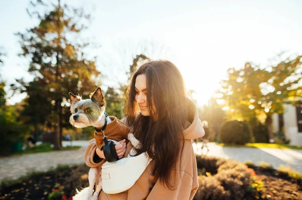 Vacker Kaukasisk Kvinna Håller Sin Bedårande Yorkshire Terrier Stående Stadsparken — Stockfoto