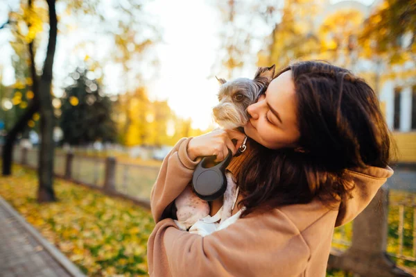 Portrait Female Casual Attire Hugging Kissing Her Yorkshire Terrier Standing — Stock Photo, Image