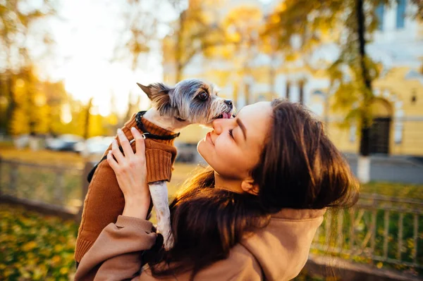 Linda Foto Primer Plano Dueño Perro Sosteniendo Linda Mascota Divertido — Foto de Stock