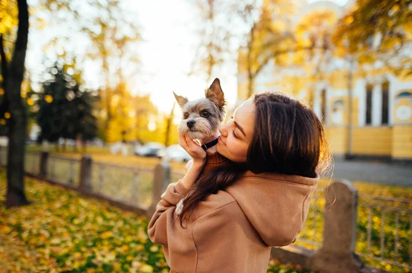 Preciosa Mujer Caucásica Está Acariciando Adorable Perro Pie Frente Edificio — Foto de Stock