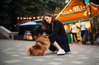 Akşam yürüyüşünde küçük bir köpekle sokakta evcil bir hayvanla oynayan tatlı bir bayan..