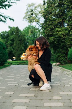 Siyah elbiseli çekici bir bayan tatlı bir köpek ırkıyla yürüyüşe çıkmış Pamaran Spitz, bir evcil hayvana sarılıyor ve gülümsüyor..