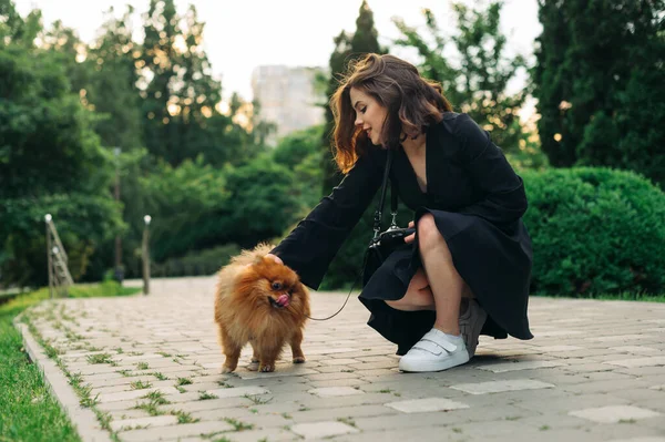 Siyah elbiseli çekici bir kadın parkta yürürken Spitz köpeğiyle oynar, gülümser ve hayvanı okşar..