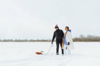 Karda tasmalı bir köpekle bekleyen güzel bir çift. Çift, köpek cinsi Jack Russell 'la donmuş gölde yürüyor..