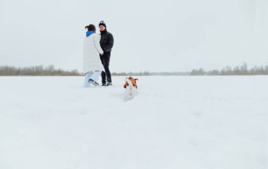 Çift kışın bir köpekle karlı bir arazide yürür. Bir adam ve bir kadın donmuş gölde bir köpeği gezdiriyorlar..