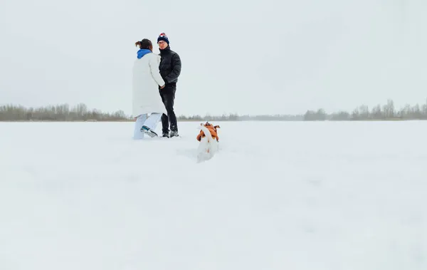 Casal Caminha Campo Nevado Com Cão Inverno Homem Uma Mulher — Fotografia de Stock