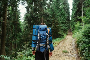 Sırtında büyük mavi bir sırt çantasıyla yürüyüşe çıkmış bir erkek yürüyüşçünün arkası ormandaki bir patikada dağlara tırmanır..