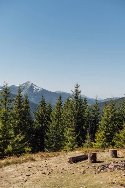 Фото Лінивого Гірського Ландшафту Засніженим Гірським Піком Вертикальний — стокове фото