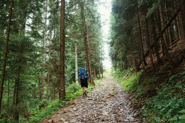 Escursionista Maschio Con Grande Zaino Abiti Casual Sale Sulle Montagne — Foto Stock