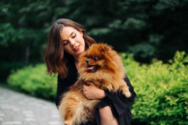 Parkta kollarında Pomeranian Spitz köpeği olan çekici, pozitif bir kadın. Bayan köpeği gezdirir ve onunla parkta oynar.