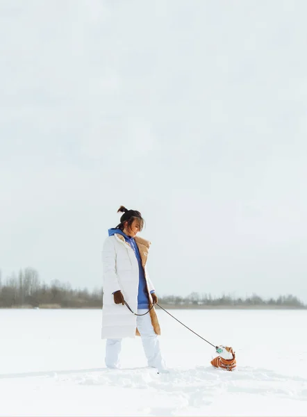 Eine Attraktive Frau Mit Hund Der Leine Steht Winter Auf — Stockfoto