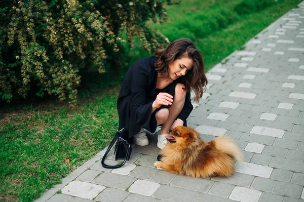 Femme Souriante Propriétaire Jouant Avec Chien Spitz Drôle Dans Parc — Photo