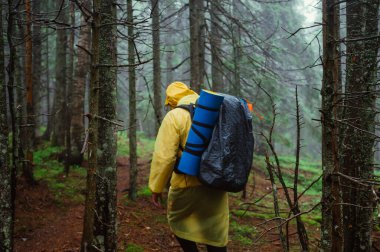 Sırtında sırt çantası olan bir erkek yürüyüşçü dağlarda yağmur ormanlarında bir patikada yağmurluk giyerek yürüyor. Aktif dinlenme dağlarda