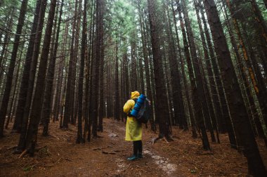 Yağmurluk giymiş ve sırt çantalı bir erkek turist ıslak bir ormanda duruyor ve bir dağ yolunda yürüyor..