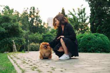 Parkta Pomeranya köpeğiyle oturan ve yüzünde gülümseme olan bir evcil hayvanı okşayan çekici bir kadın..