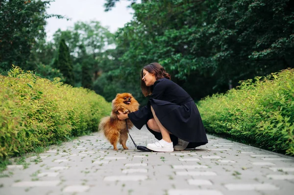 포메라니안 스피츠를 데리고 산책을 긍정적 주변에서 미소를 얼굴로 — 스톡 사진