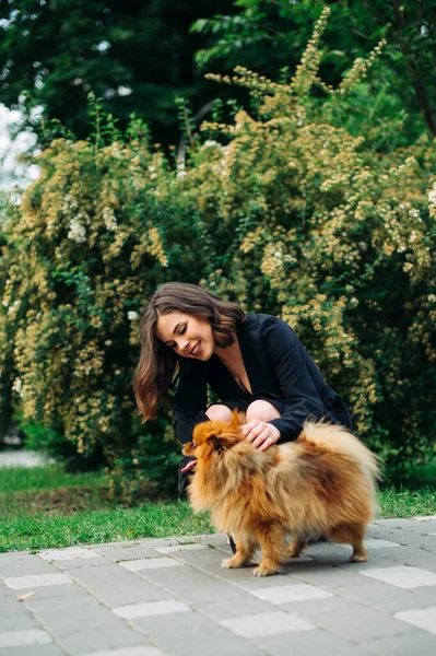 Snygg Dam Leker Med Orange Spitz Hund Parken Mot Bakgrund — Stockfoto