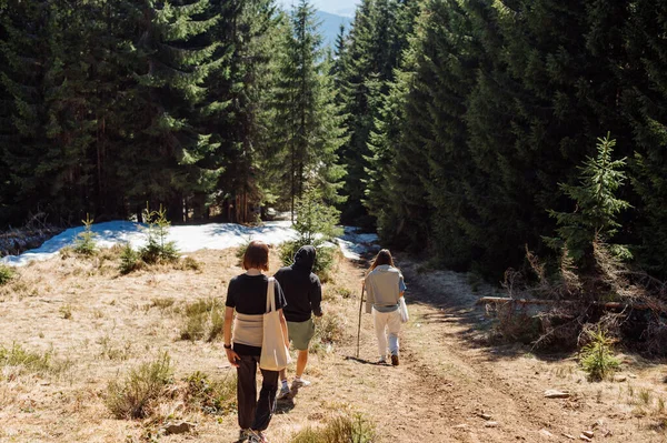 Hazırlıksız Turistlerden Oluşan Bir Grup Dağlarda Yürüyüp Ormanda Karlı Bir — Stok fotoğraf