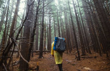 Yağmurluk giymiş bir erkek yürüyüşçü ve sırtında bir sırt çantasıyla yağmurlu bir havada dağlarda, ormanda yürüyor..
