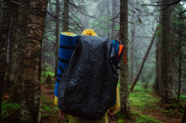 Yağmurluk giymiş bir erkek turistin arkası ve ıslak ormanda büyük bir sırt çantasıyla..
