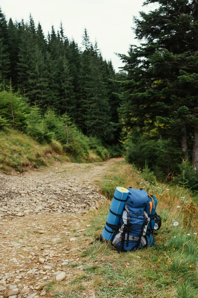 游客们的背包躺在山上 在山路上俯瞰着针叶林的景色 — 图库照片