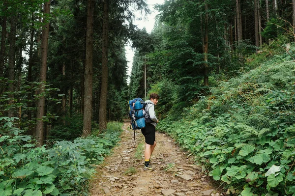 Muž Turista Batohem Zádech Kráčí Horské Stezce Lesem Pohled Zezadu — Stock fotografie